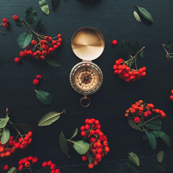 L'importance des bouées maritimes dans la navigation